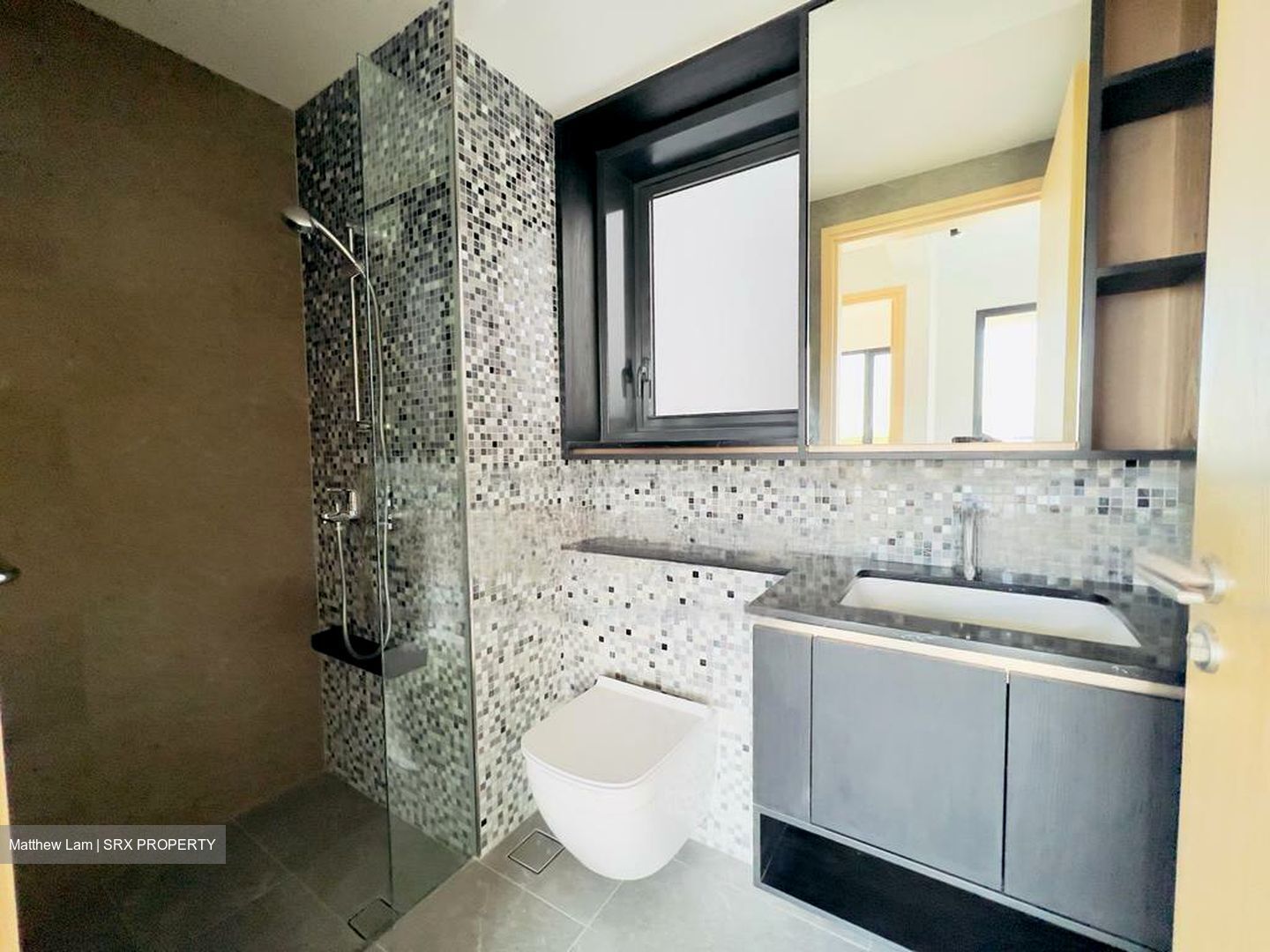 The Antares (D14), Apartment #460608511
